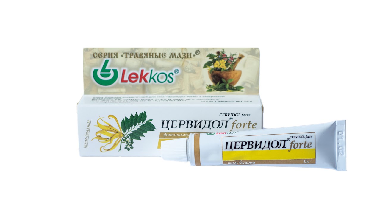 ����-������� ������ "��������-forte" � ���������� ���� �������, ���� 15 �